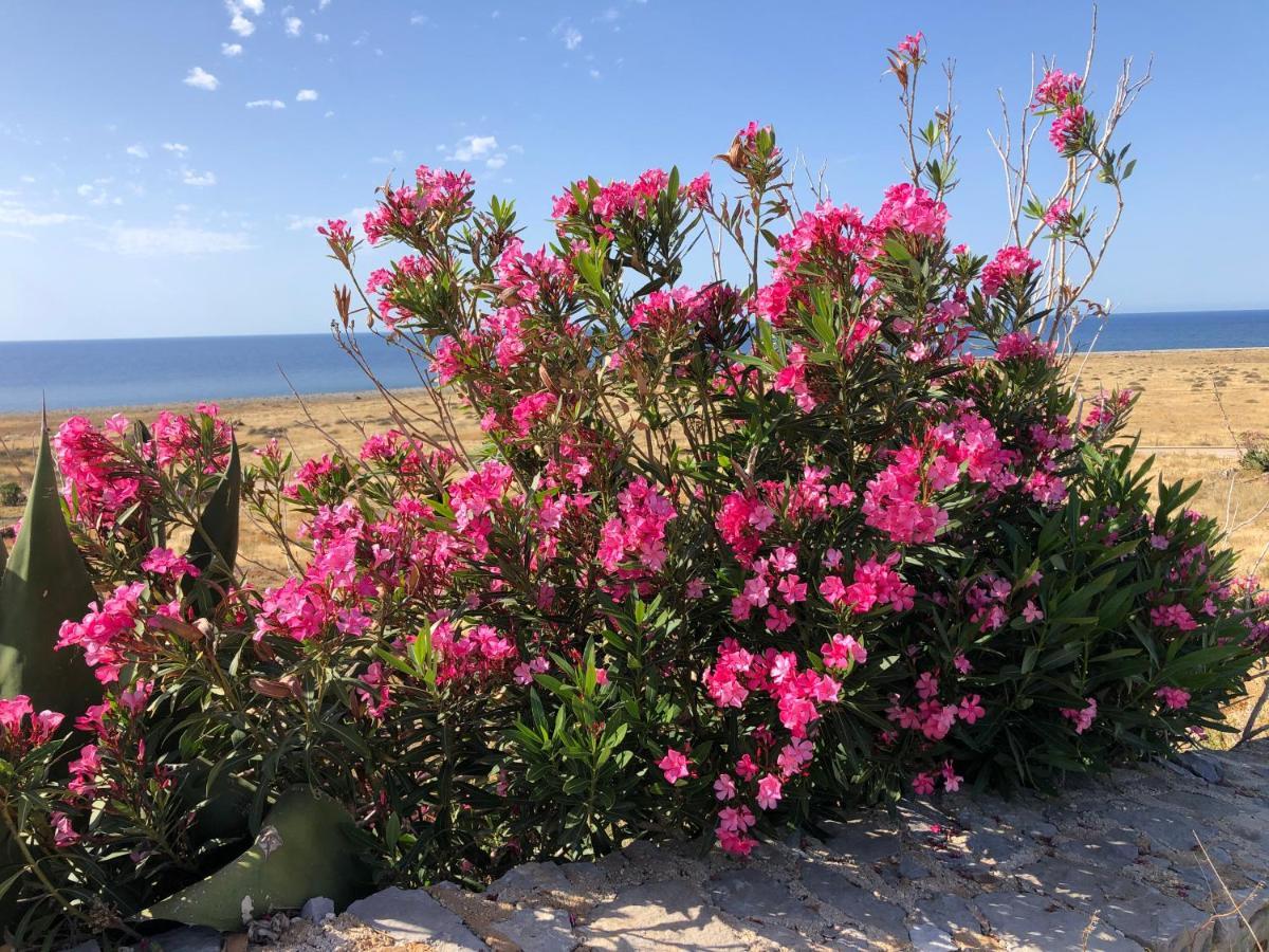 Casetta Calamancina San Vito Lo Capo Kültér fotó
